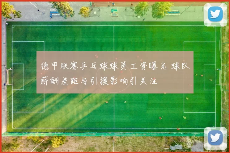 德甲联赛乒乓球球员工资曝光 球队薪酬差距与引援影响引关注