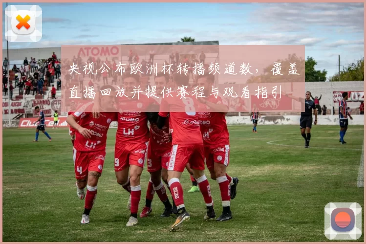 央视公布欧洲杯转播频道数，覆盖直播回放并提供赛程与观看指引