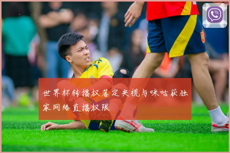 世界杯转播权落定央视与咪咕获独家网络直播权限