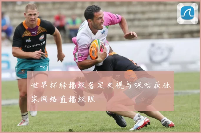 世界杯转播权落定央视与咪咕获独家网络直播权限