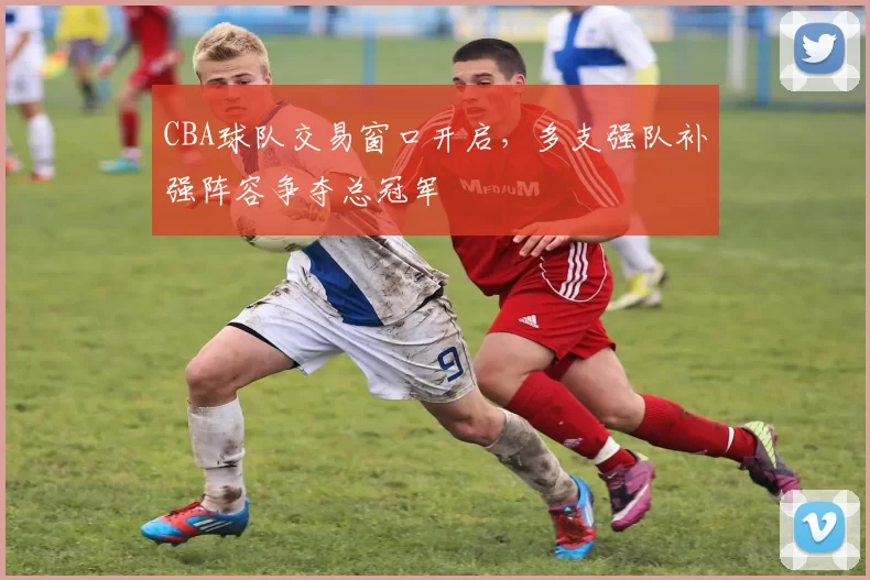 CBA球队交易窗口开启，多支强队补强阵容争夺总冠军