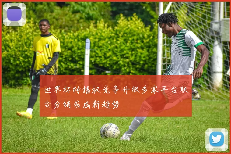 世界杯转播权竞争升级多家平台联合分销或成新趋势