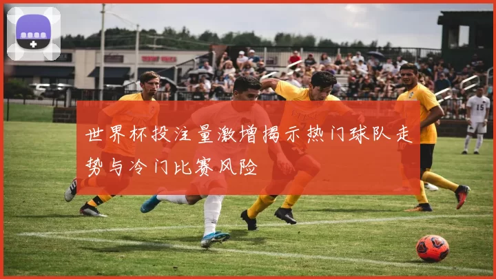 世界杯投注量激增揭示热门球队走势与冷门比赛风险