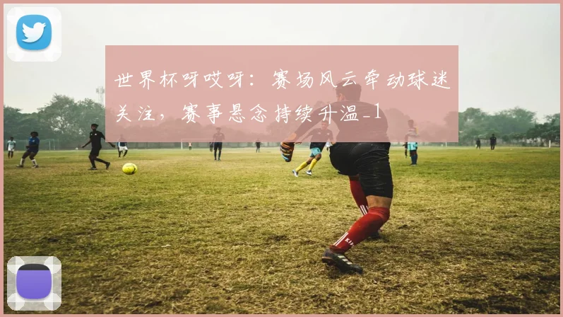 世界杯呀哎呀:赛场风云牵动球迷关注,赛事悬念持续升温_1